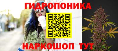 ECSTASY Моздок