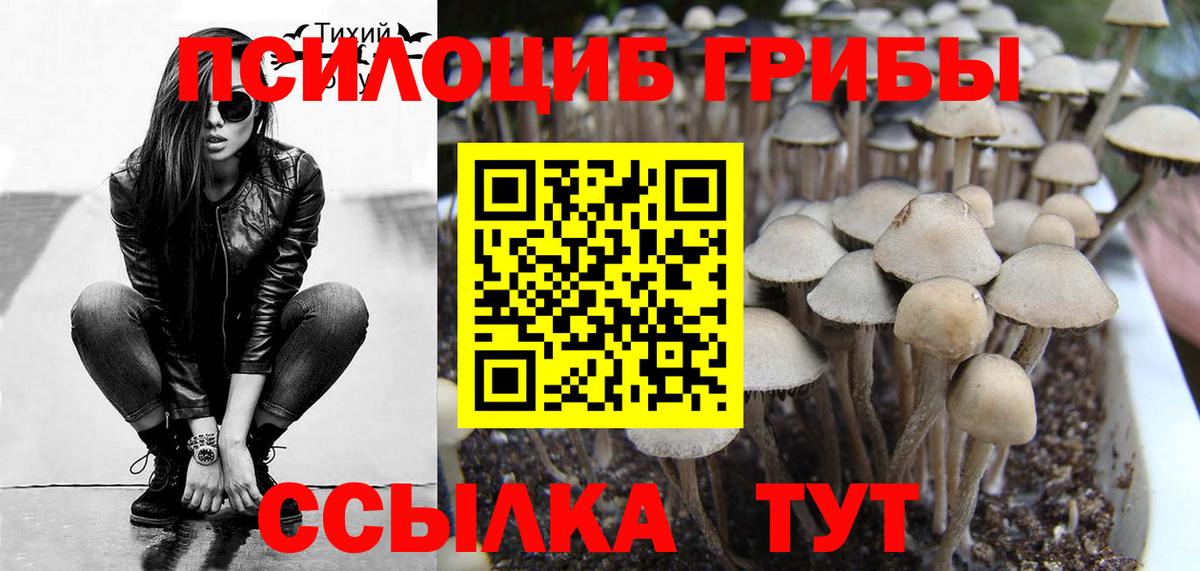 Галлюциногенные грибы Magic Shrooms Усолье-Сибирское